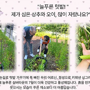 내가 가꾼 늘푸른 텃밭!!!